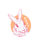 Bunny life（個別スタンプ：2）