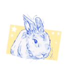 Bunny life（個別スタンプ：3）