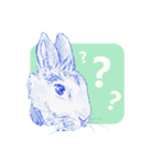 Bunny life（個別スタンプ：5）
