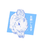 Bunny life（個別スタンプ：6）