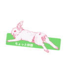 Bunny life（個別スタンプ：10）