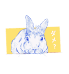 Bunny life（個別スタンプ：11）