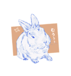 Bunny life（個別スタンプ：12）