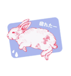 Bunny life（個別スタンプ：15）