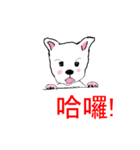 kiki＆didi very funny（個別スタンプ：15）