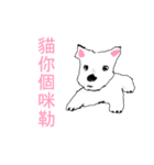 kiki＆didi very funny（個別スタンプ：30）
