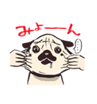 パグのこぶちゃん日常スタンプ（個別スタンプ：1）