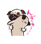 パグのこぶちゃん日常スタンプ（個別スタンプ：4）