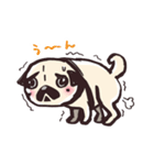 パグのこぶちゃん日常スタンプ（個別スタンプ：9）