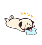 パグのこぶちゃん日常スタンプ（個別スタンプ：19）