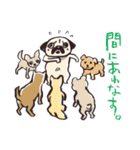 パグのこぶちゃん日常スタンプ（個別スタンプ：25）