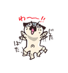 パグのこぶちゃん日常スタンプ（個別スタンプ：30）