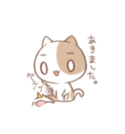 あいうえおねこさま（個別スタンプ：1）