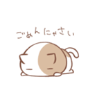 あいうえおねこさま（個別スタンプ：10）