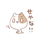 あいうえおねこさま（個別スタンプ：14）