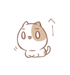 あいうえおねこさま（個別スタンプ：29）