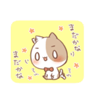 あいうえおねこさま（個別スタンプ：31）