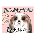 トリマーあるあるスタンプ 2（個別スタンプ：9）