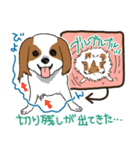 トリマーあるあるスタンプ 2（個別スタンプ：37）