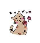 まるむぎうめしい。《4姉妹にゃんズ》（個別スタンプ：6）