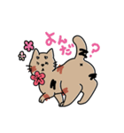 まるむぎうめしい。《4姉妹にゃんズ》（個別スタンプ：16）