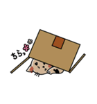 まるむぎうめしい。《4姉妹にゃんズ》（個別スタンプ：18）