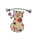 まるむぎうめしい。《4姉妹にゃんズ》（個別スタンプ：21）