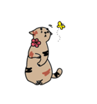 まるむぎうめしい。《4姉妹にゃんズ》（個別スタンプ：38）