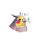 毎日ことりさん♪スタンプ（個別スタンプ：7）