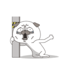 Naughty Pug 2（個別スタンプ：24）