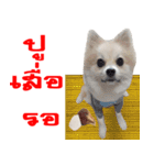 POMPOM - WK（個別スタンプ：7）