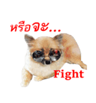 POMPOM - WK（個別スタンプ：14）