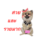 POMPOM - WK（個別スタンプ：15）