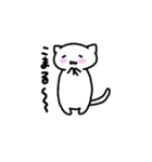 もっとゆるーく話すの白にゃんこ（個別スタンプ：38）