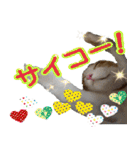 ミケ猫ミーシャのにちじょう（個別スタンプ：8）