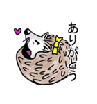 ハリネズミのハリ吉（個別スタンプ：1）