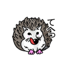 ハリネズミのハリ吉（個別スタンプ：9）