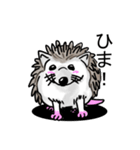ハリネズミのハリ吉（個別スタンプ：11）