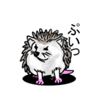 ハリネズミのハリ吉（個別スタンプ：13）