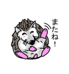 ハリネズミのハリ吉（個別スタンプ：14）