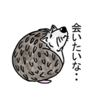 ハリネズミのハリ吉（個別スタンプ：16）