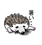 ハリネズミのハリ吉（個別スタンプ：21）
