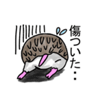 ハリネズミのハリ吉（個別スタンプ：23）