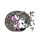 ハリネズミのハリ吉（個別スタンプ：24）