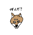 柴フレンズ（個別スタンプ：6）