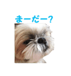 まるの日常会話スタンプ。（個別スタンプ：10）
