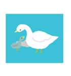 白鳥のハク（個別スタンプ：4）