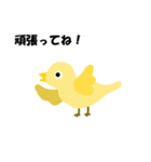 黄色い小鳥 ぴょ（個別スタンプ：5）