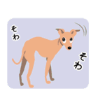イタグレトーク（個別スタンプ：1）