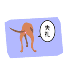 イタグレトーク（個別スタンプ：10）